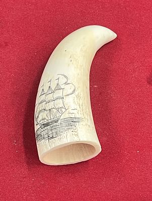 Whale Tooth Scrimshaw Artwork. Nice piece that measures 5 1/4". Weighs 147.2g. Condition is good 