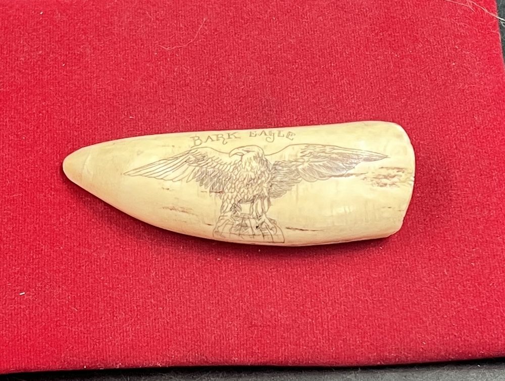 Lot 186: Scrimshaw "Bark Eagle of Bedford"