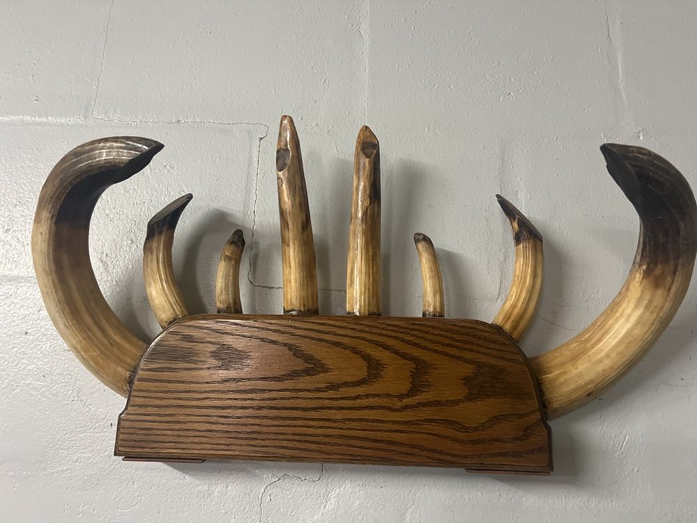 Lot 234: Vintage Tusk Wall Display
