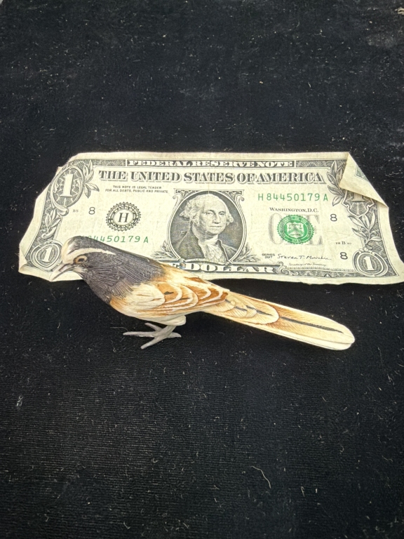 Polychrome Bird