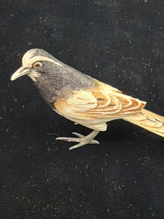 Polychrome Bird