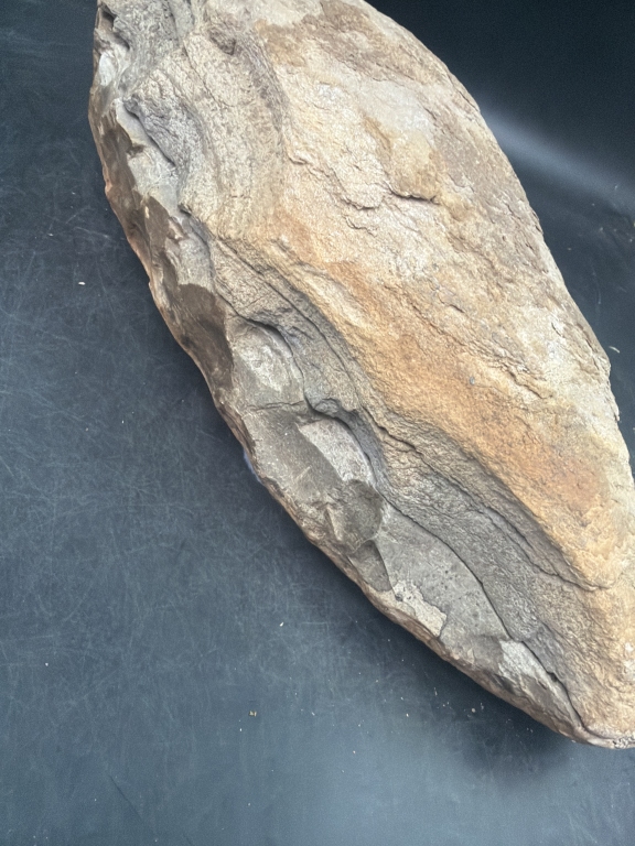 Large Vintage Fossil