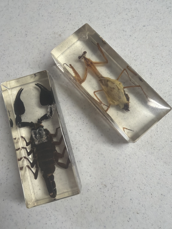 Mid Centtury Two Insects in Lucite