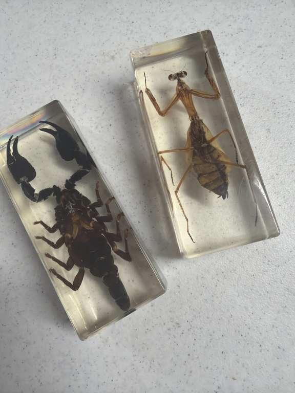 Mid Centtury Two Insects in Lucite