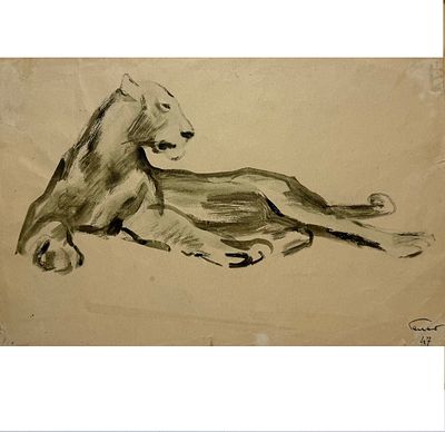 В.А.Гальба. Львица 1947.г. Бум/акварель 34х22см. Гальба Владимир Александрович (1908-1984) 