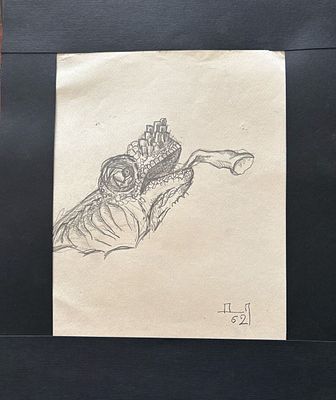 Плавинский Дмитрий Петрович (1937-2012). Голова тритона. 1962 год.
Бумага, карандаш. 27х22,5см. 