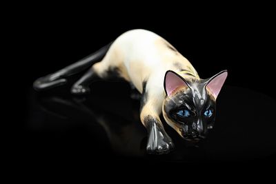 Фарфоровая кошка 
Авторская статуэтка, выполненная из тонкого фарфора и расписанная вручную 