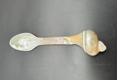 сервировочная ЛОЖКА перламутр.
сервировочная ложка, целиком вырезанная из морской раковины. 