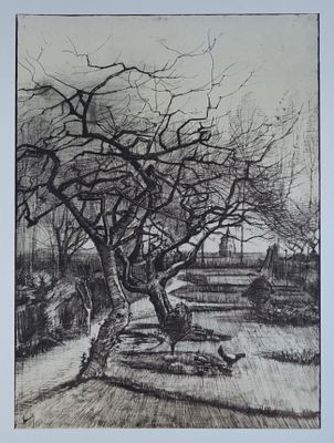 Винсент Ван Гог (1857-1890) "Сад пастора в Нюэнене зимой" 1884год. Бумага, офсетная печать 