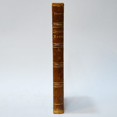 Дюринг, Е. Ценность жизни = Der Werth des Lebens: Исследование в смысле героического 