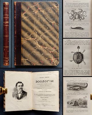 Бэр, П. Первые понятия о зоологии со множеством рисунков в тексте / пер. с фр. под ред. И. 