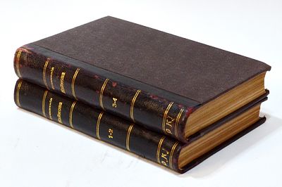 Майков А.Н. Полное собрание сочинений. С критико-биографическим очерком и портретом автора. В 