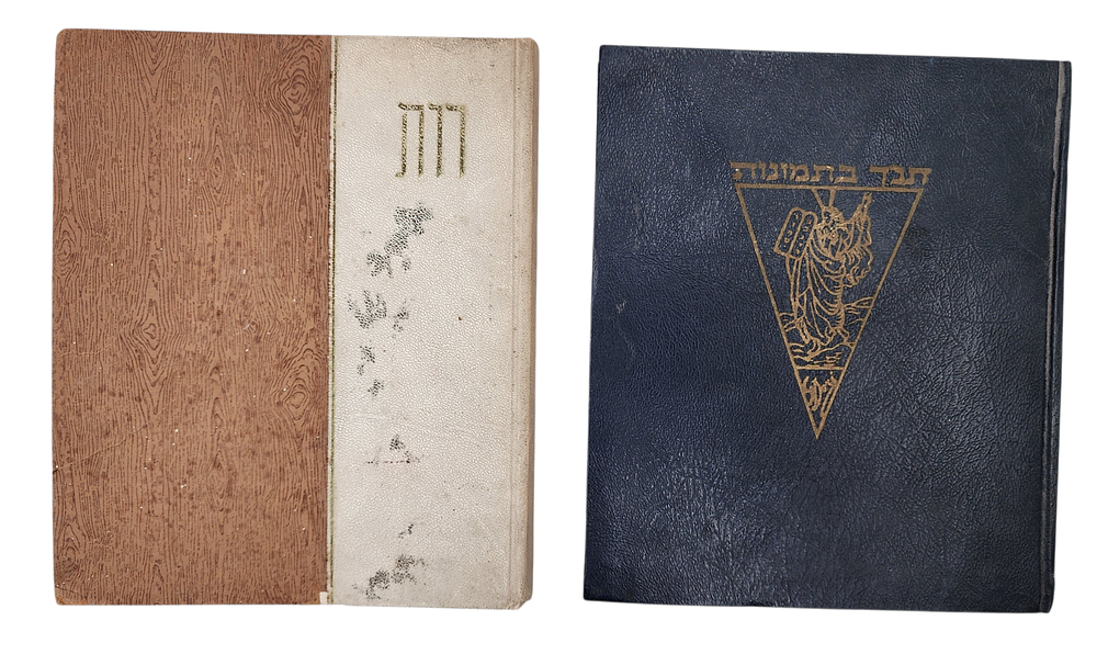 לקט 2 ספרים 1 מגילת רות הכתב הציורים והעיטורים בידי אנה נימן תל אביב דפוס ליאור המדפיס תל אביב 