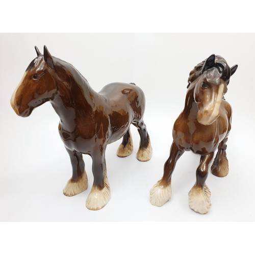 Lot 197