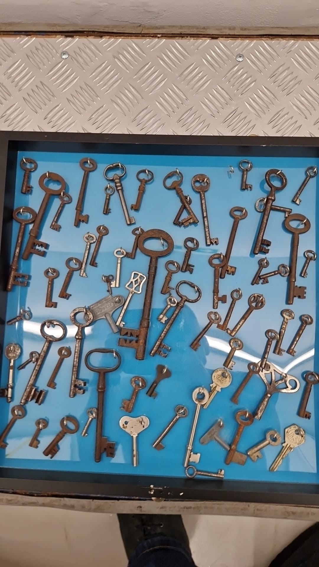 Lot 286