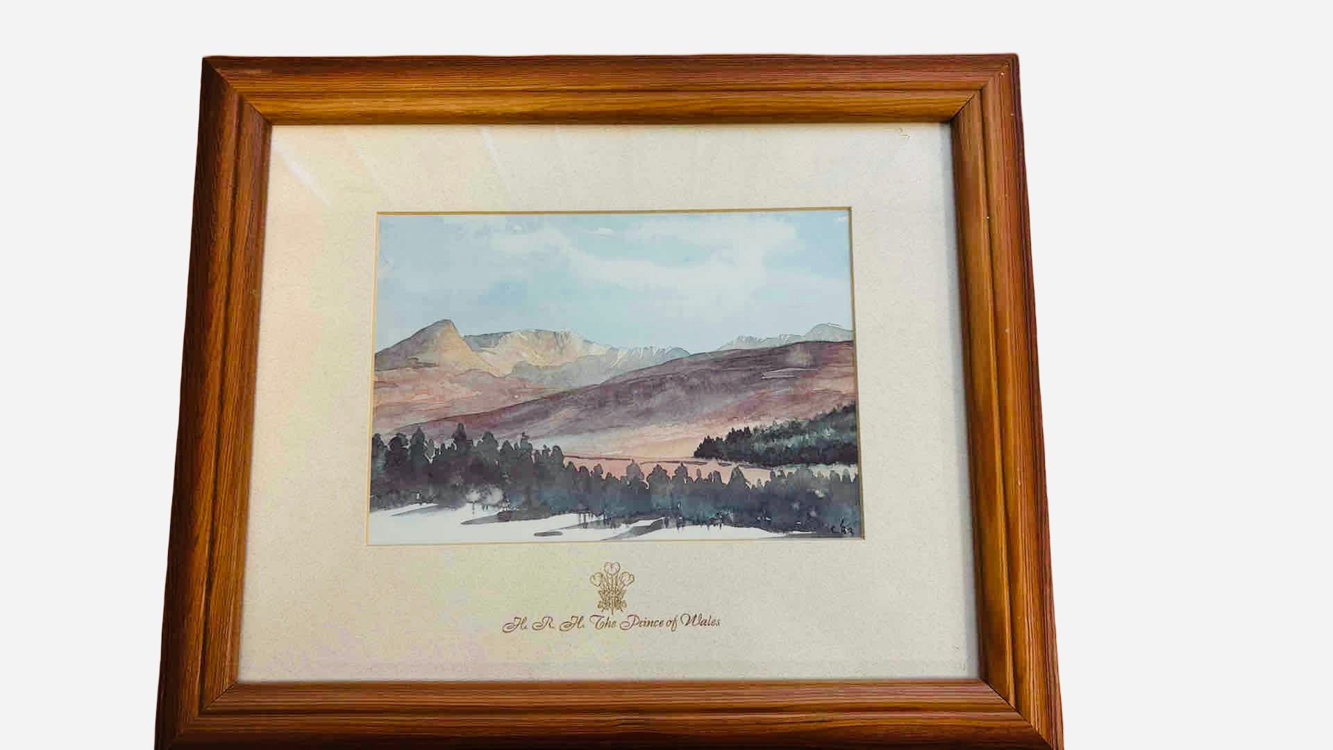 Lot 350
