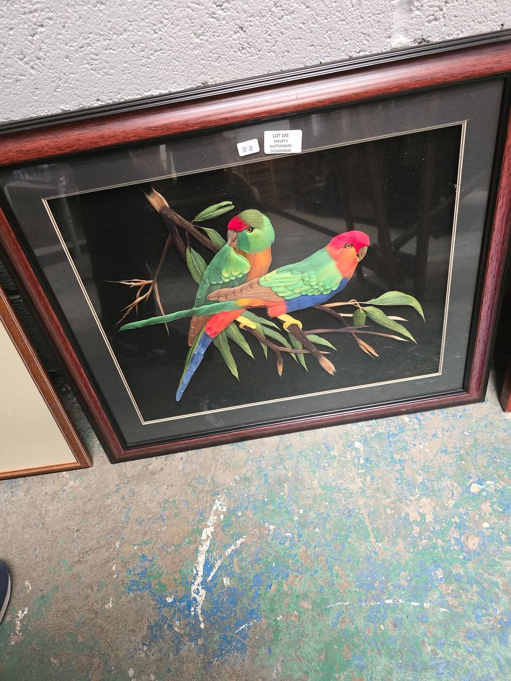 Lot 165: 1 X FRAMED PARROTS VELET MADE PICTURE