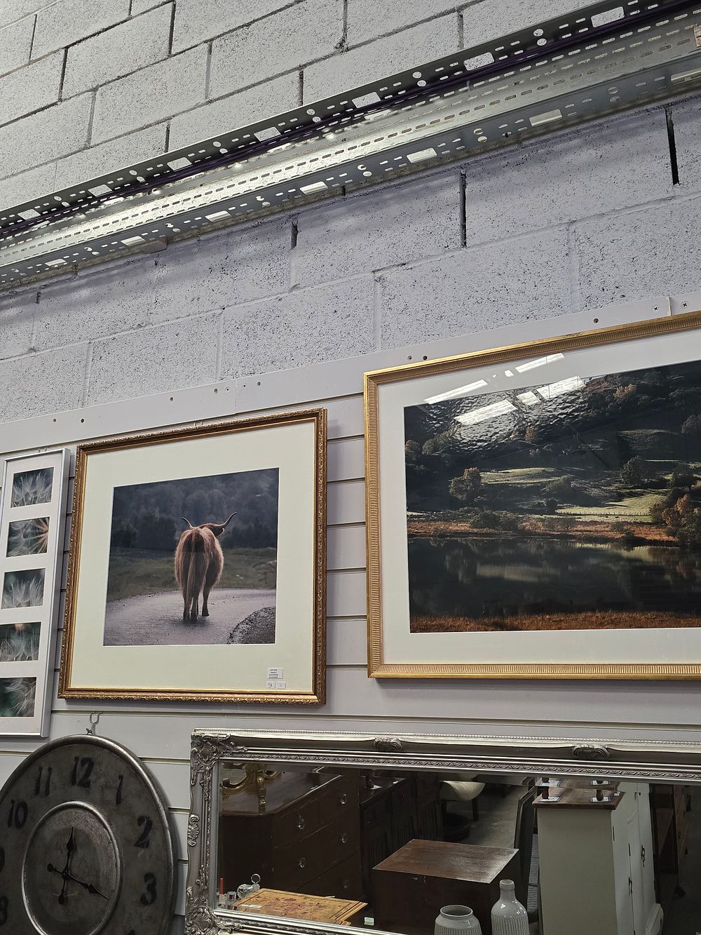 Lot 322: 1 X HIGHLAND COW FRAMED LARGE PHOTO WITH...