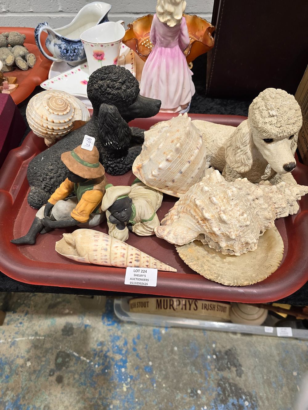 Lot 224: 1 X TRAY CONTAING LARGE SEA SHELLS ETC