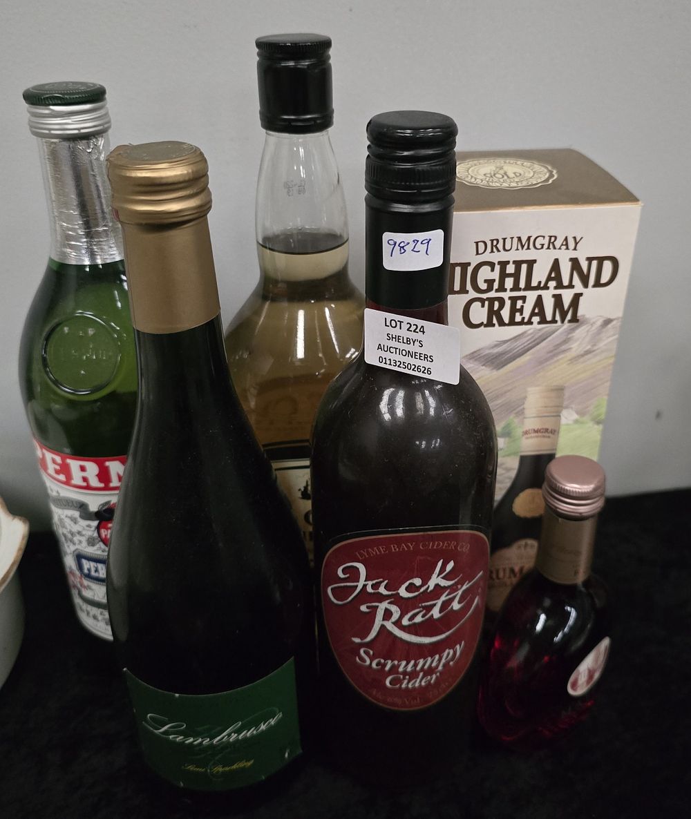 Lot 224: SELECTION OF VARIOUS ALCOHOL SCRUMP CIDER LAMBRUSCO PERNOD...