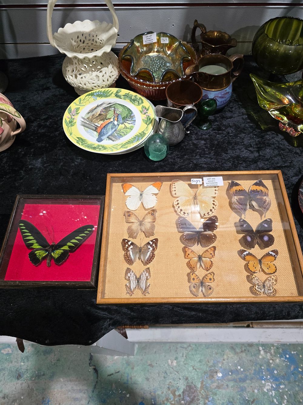 Lot 332: SELECTION OF VARIOUS TAXIDERMY BUTTERFLYS IN CASES