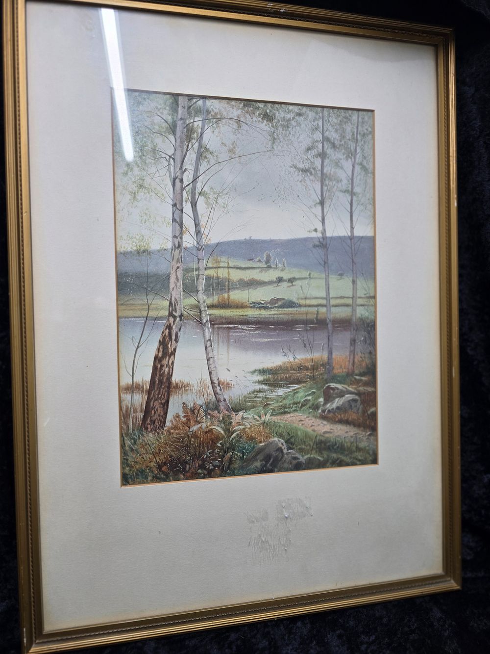 Lot 215: stanley cooper woodland water colour