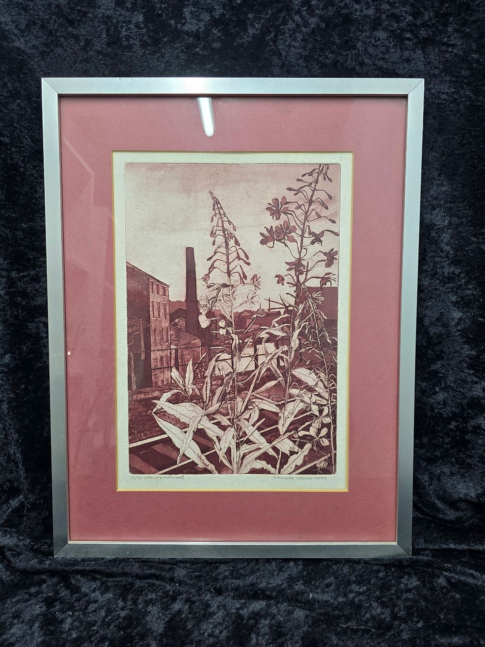 Lot 220: wendy rusett ltd edition print railway willow herb