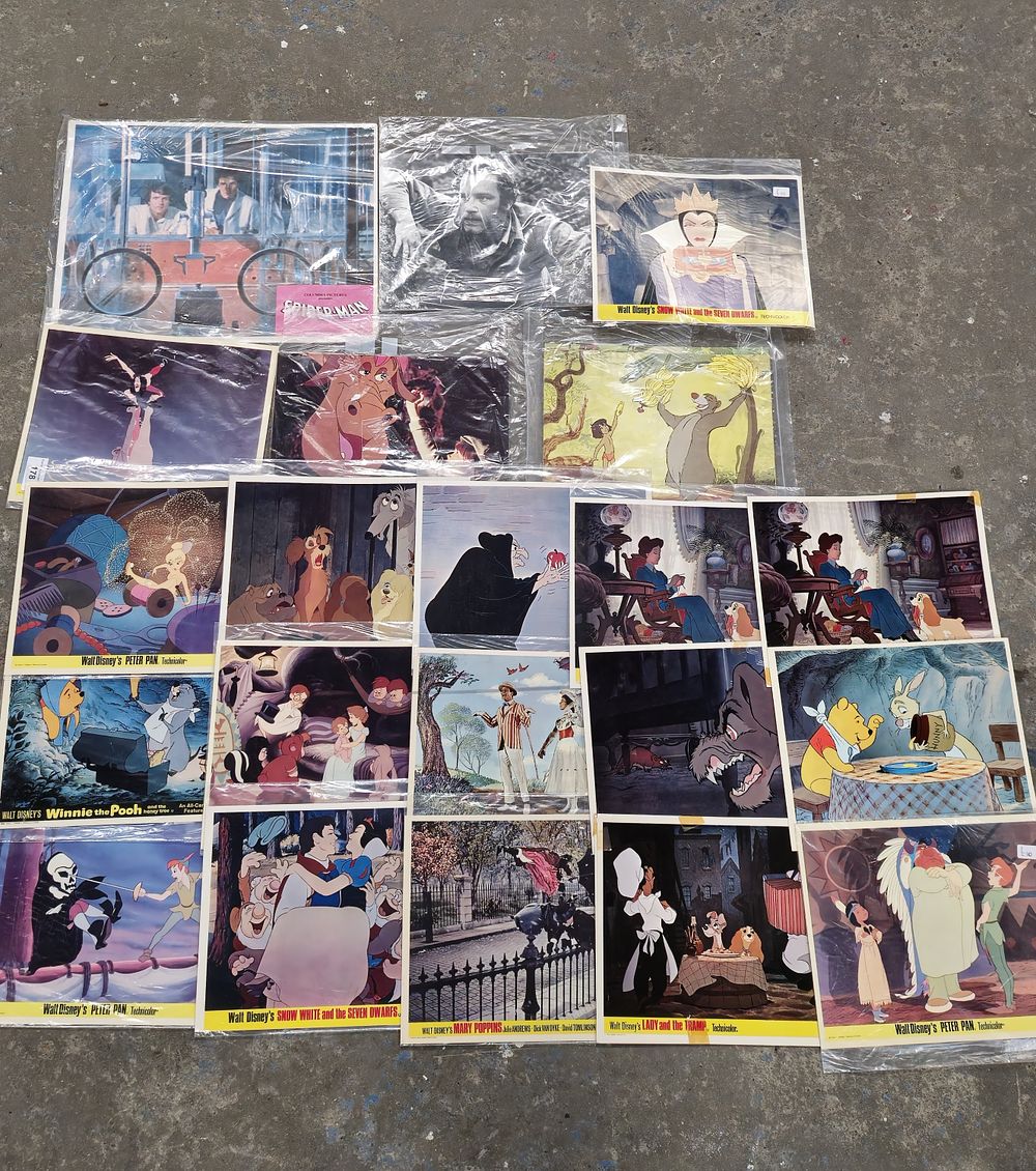 Lot 178: selection of various disney movie picture diplay cards