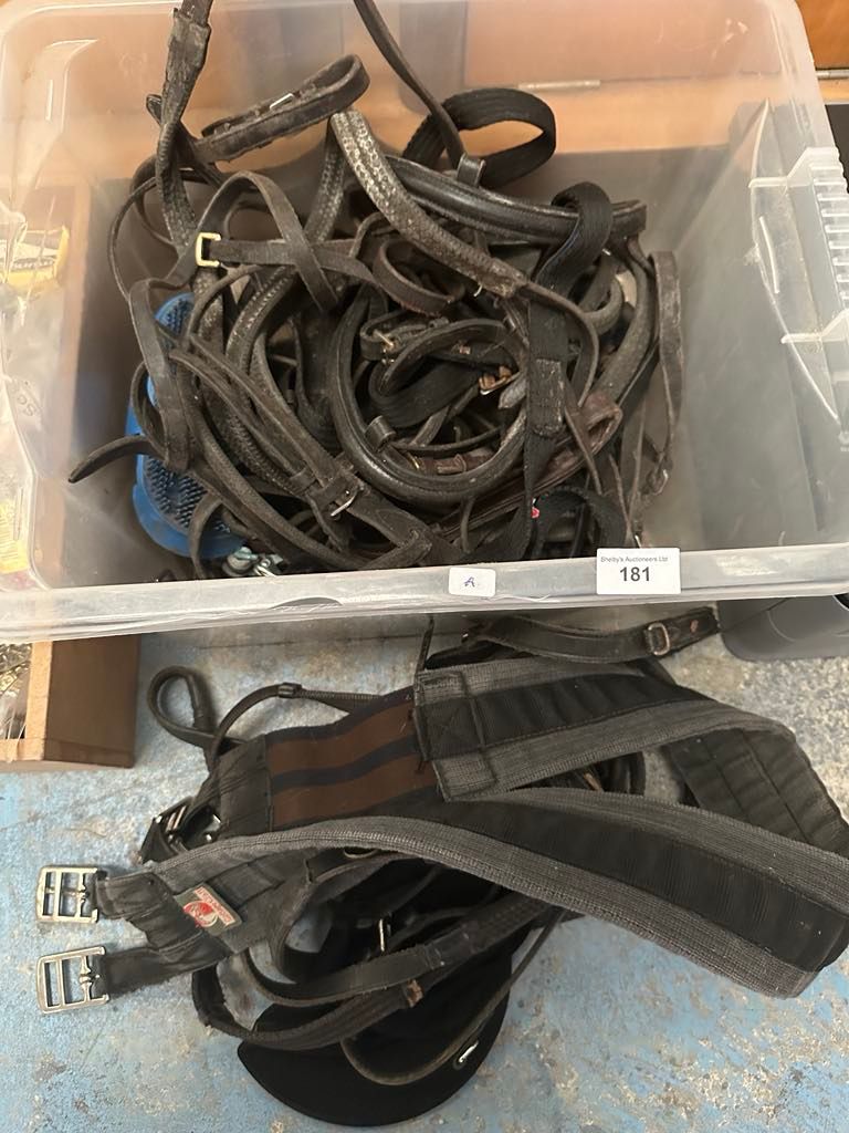 Lot 181: box containing pony tack straps harness etc