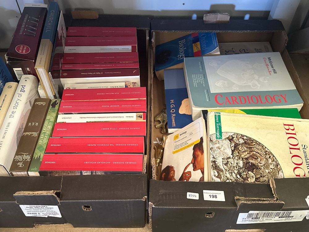 Lot 198: 2 boxes of various books