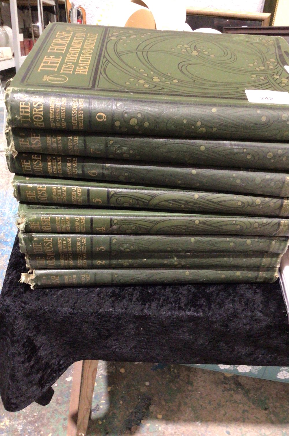 Lot 242: The Horse by Professor J. Wortley Axe, a collection