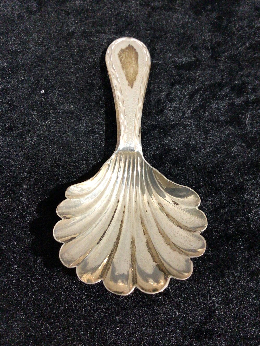Lot 352: A Sterling Silver Tea Caddy Spoon with Scallop Shell Bowl