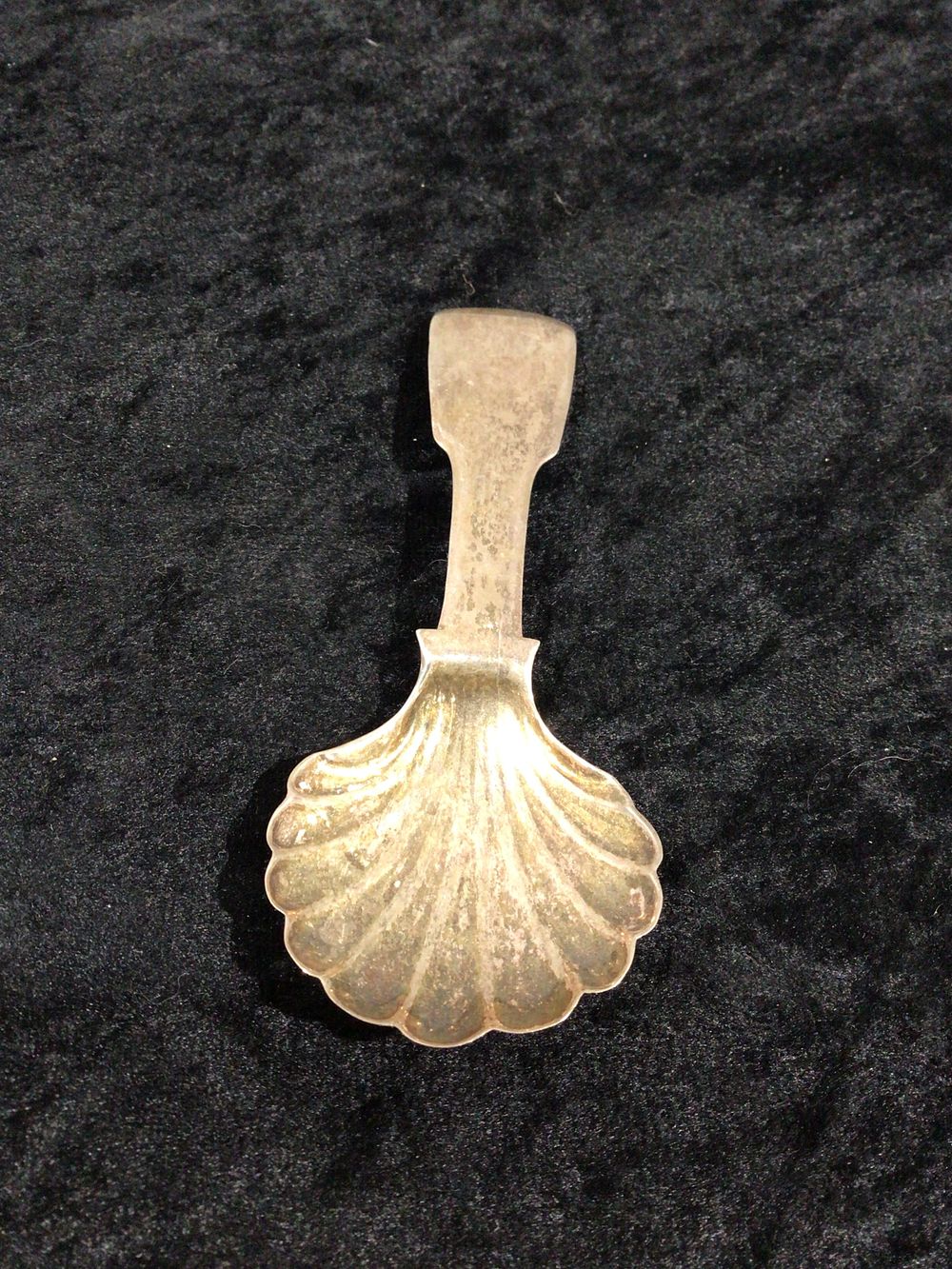 Lot 358: A Georgian Silver Scallop Shell Tea Caddy Spoon
