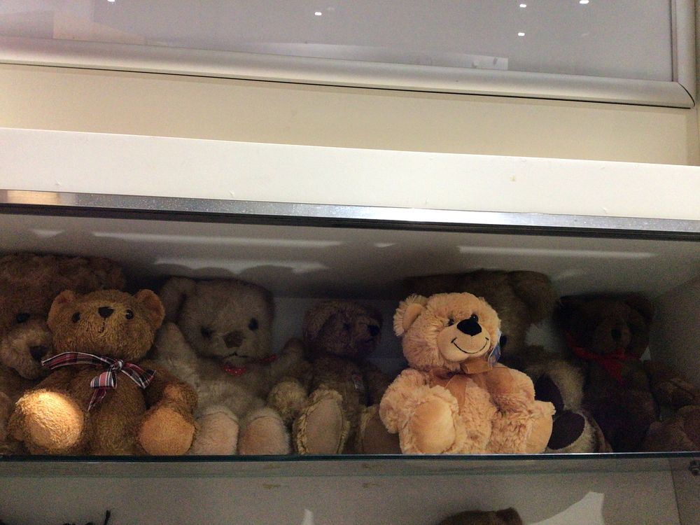 Lot 307: A Collection of Assorted Plush Teddy Bears