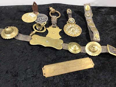A Collection of Late 19th/Early 20th Century Horse Brasses and Leather Harness, with Engraved 