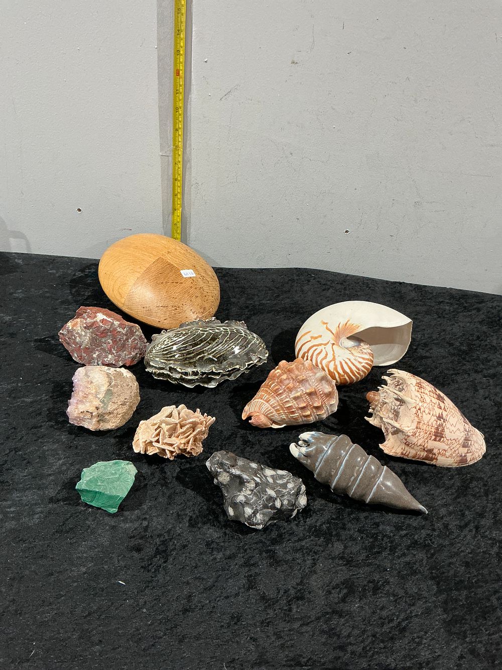 Lot 163: A Collection of Natural History Specimens and Curios, including Chambered Nautilus, Imperial Volute, and Mineral Samples