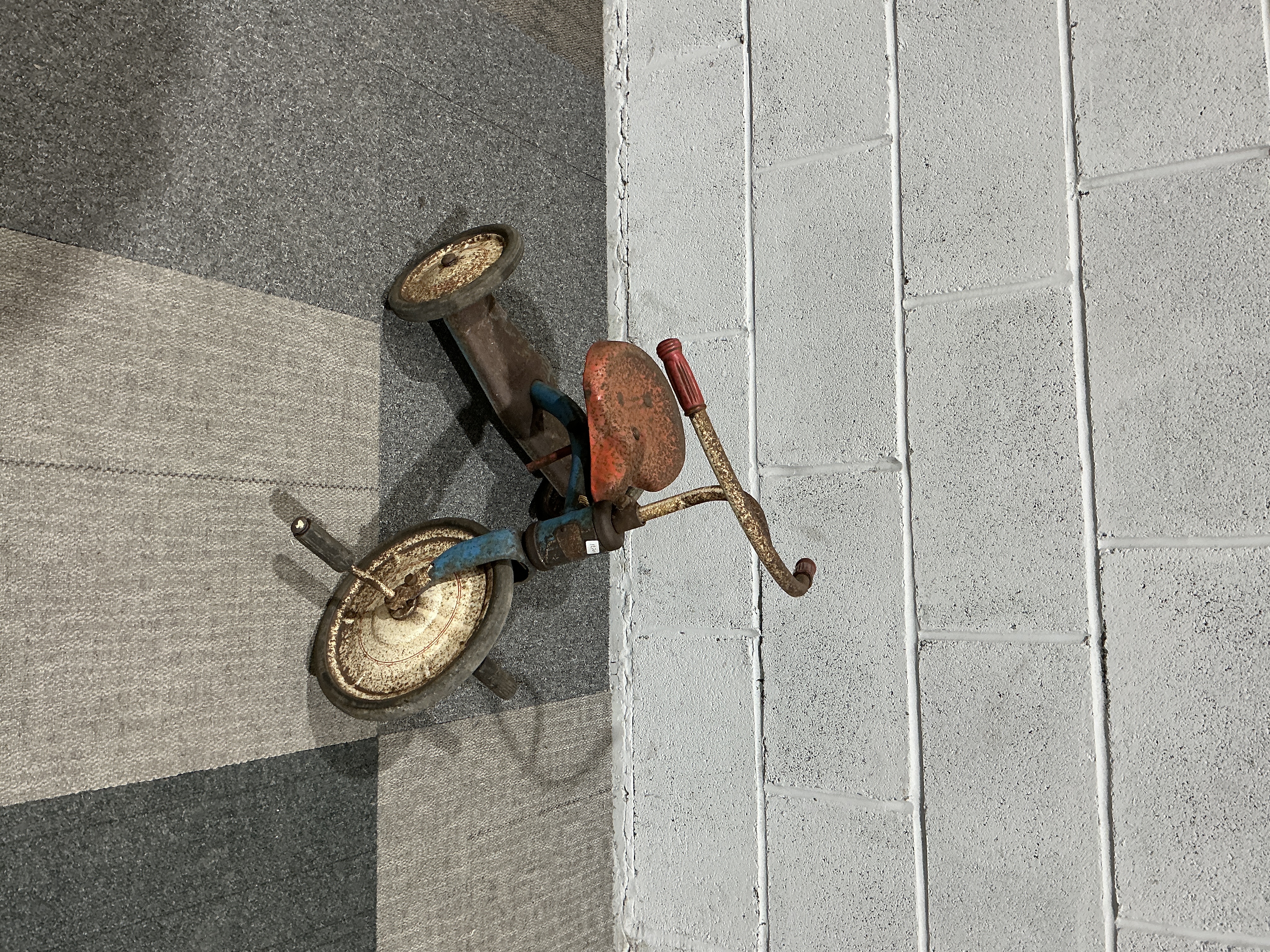 Sunshine Junior Tricycle