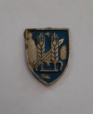 סיכה סמל של הפלמ"ח ללא סיכה מאחור. יש צורך להלחים סיכה מאחור. גודל 2X1.5 ס"מ