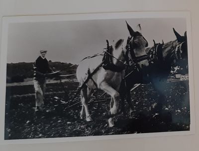 חוברת הרצליה 1924. המשפחה הראשונה שהתישבה במושבה הרצליה משפחת לנצט. עבודת יד עם צילומים מודבקים 