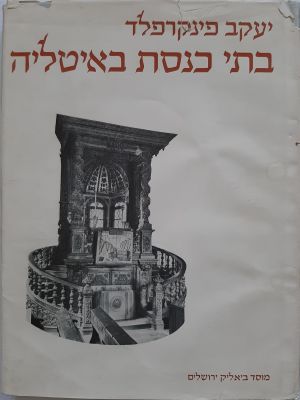 ספר "בתי כנסת באיטליה" של יעקב פינקרפלד. בהוצאת מוסד ביאליק בשנת תשי"ד 1954. נזקים קלים בעטיפת 