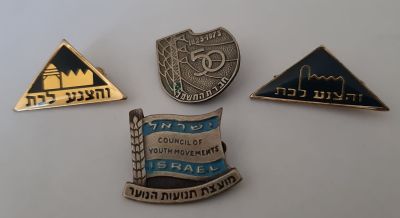 4 סמלים שונים, הצנע לכת - בית ספר הריאלי בחיפה, שני עיצובים שונים. 50 שנה לחברת החשמל. מועצת 