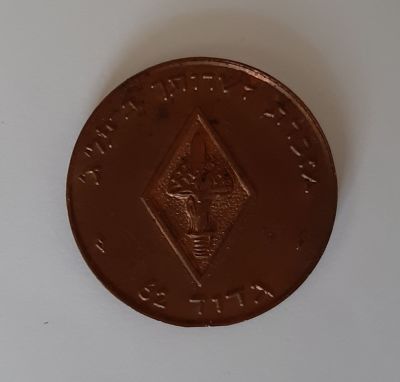 מדליה צה"ל מברונזה מזכרת מגדוד 62 על משירות בפלוגה ג'. הגדוד שייך לחטיבת ירושלים חטיבה 16. צד 