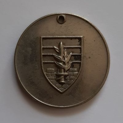מדליון צבאי , צה"ל , "מזכרת מיחידתך" , גודל 30 מ"מ.