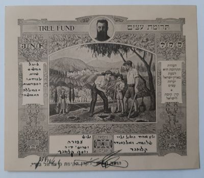 תעודה נטיעת עצים של הקרן הקיימת לישראל "על שם ציפורה ופרופסור ד"ר יוסף קלוזנר ליובל חמישים שנות 