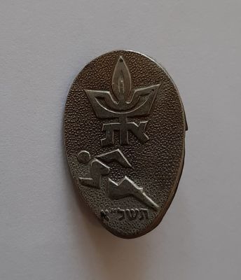 סיכה - סיכת דש ישנה אוניברסיטת תל אביב.