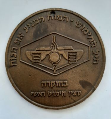 מדליה חיל החימוש צה"ל. עשויה ברונזה. קוטר 50 מ"מ . חור קדוח בחלק העליון. מדליה לא מצויה.
