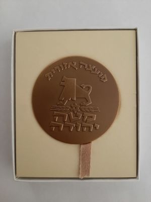 מדליה ברונזה רשמית "מועצה אזורית מטה יהודה" - הונפקה על ידי החברה הממשלתית למדליות ומטבעות בע"מ. 