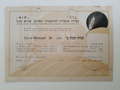 תעודה מניה חברת "ניר" תקופת המנדט הבריטי בארץ בארץ ישראל, משנת 1947.
