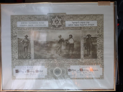 תעודת נטיעת עץ גדולה של קק"ל , KKL, JNF, Jewish National Fund תעודה ממוסגרת מחופה בזכוכית. 