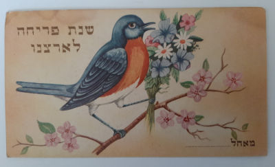גלויה אגרת ברכה שנה טובה גדולה. סביבות השנים 1960-1950.